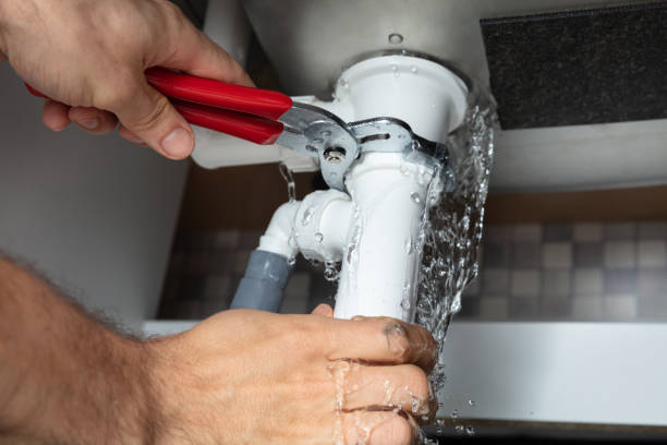 Best Basement water damage restoration  in Gardnerville Ranchos, NV