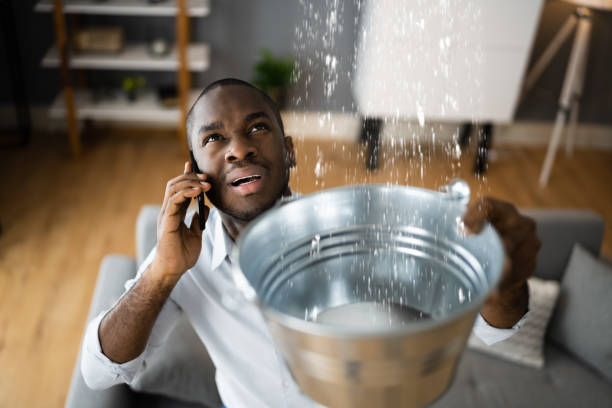Reliable Gardnerville Ranchos, NV Water damage restoration Solutions