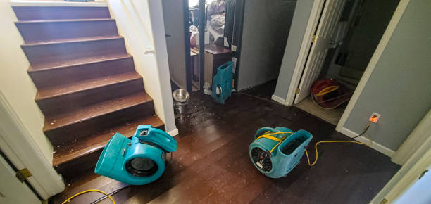 Best 24/7 water damage repair  in Gardnerville Ranchos, NV