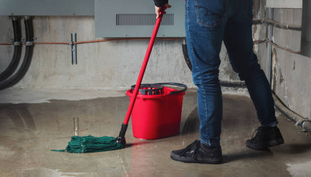 Best Flood damage cleanup  in Gardnerville Ranchos, NV