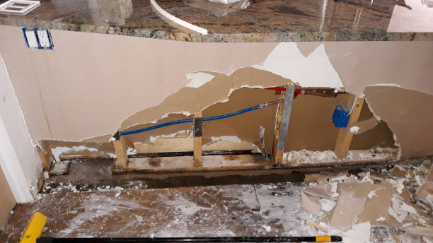 Best Fire Damage Restoration  in Gardnerville Ranchos, NV