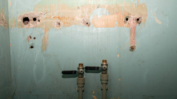Best Local water damage restoration  in Gardnerville Ranchos, NV