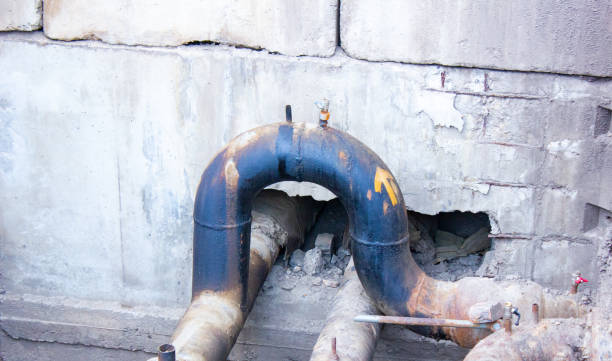Best Carpet water damage restoration  in Gardnerville Ranchos, NV