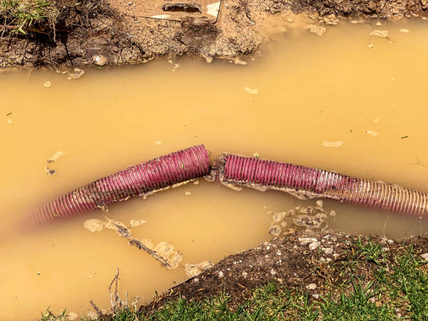 Best Water damage restoration company  in Gardnerville Ranchos, NV