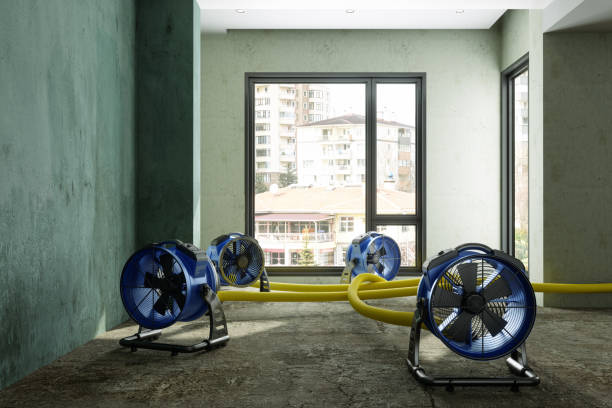 Best Professional water damage repair  in Gardnerville Ranchos, NV